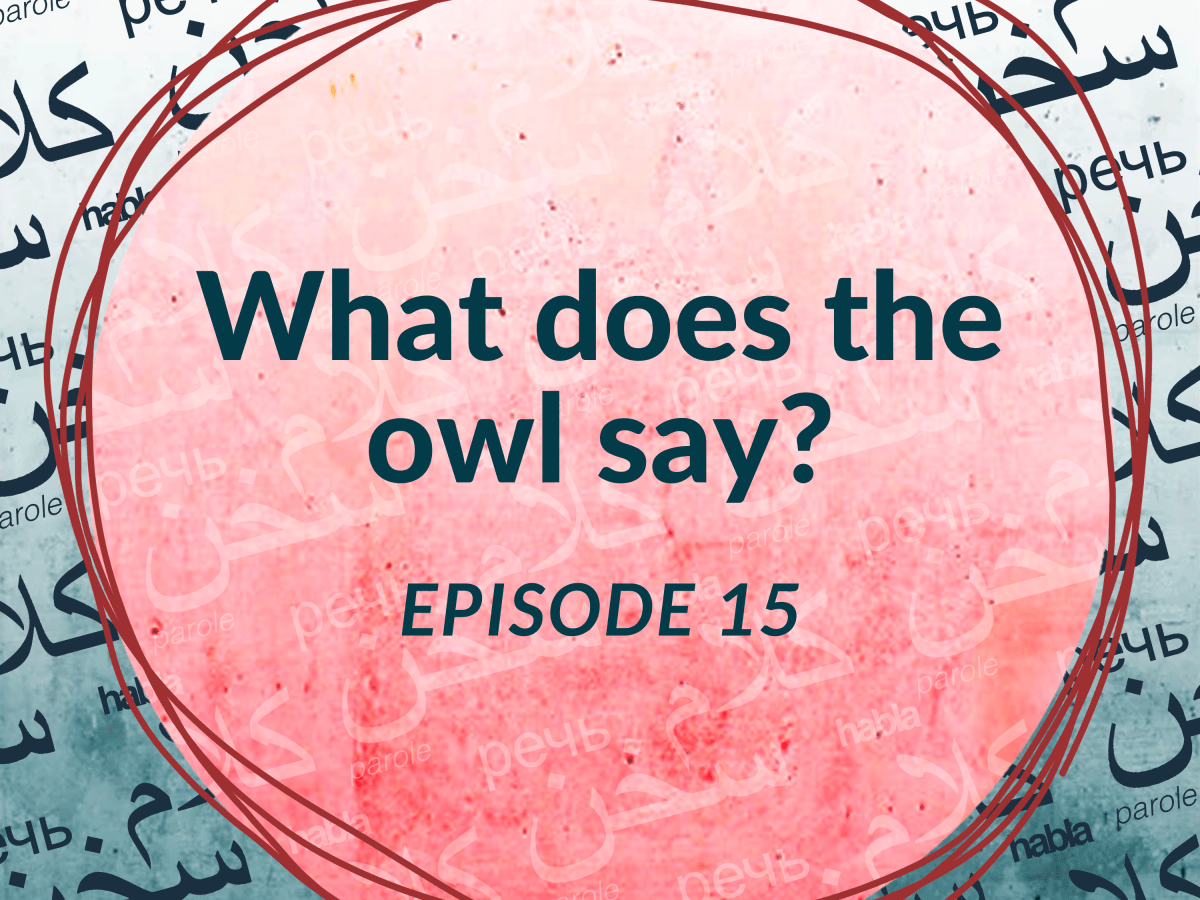 What does the owl say? (Ep.&nbsp;15)